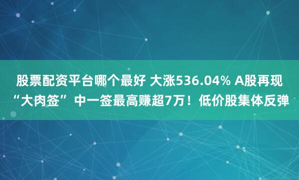 股票配资平台哪个最好 大涨536.04% A股再现“大肉签” 中一签最高赚超7万！低价股集体反弹