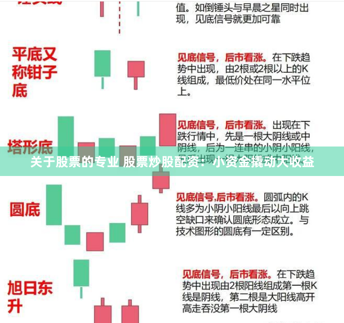 关于股票的专业 股票炒股配资：小资金撬动大收益
