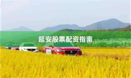 延安股票配资指南