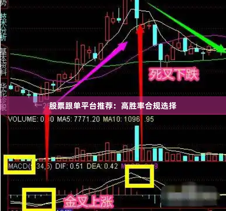 股票跟单平台推荐：高胜率合规选择