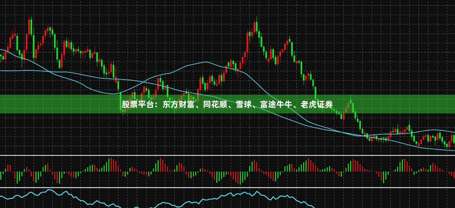 股票平台：东方财富、同花顺、雪球、富途牛牛、老虎证券